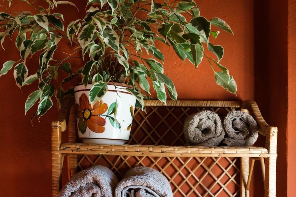 Finca Martina Rural Private Guest Suites Casarabonela Cameră foto